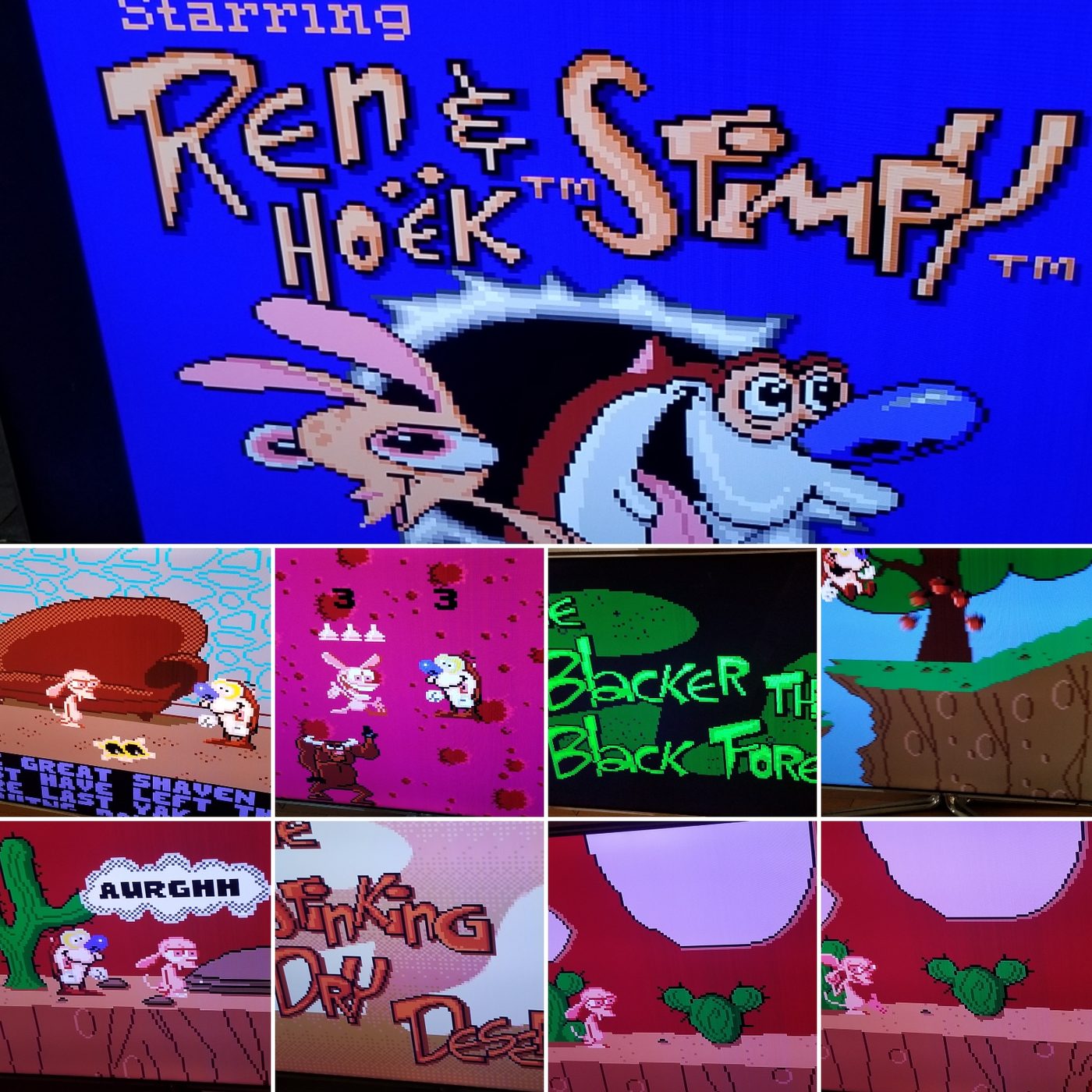 Ren & Stimpy: The Quest for the Shaven Yak